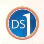 DS1 Property Links