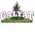 Galyat Real Estate