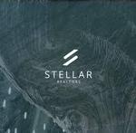 Stellar Realtors & Builders